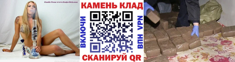 ГАШИШ AMNESIA HAZE  Купить где  Стародуб 