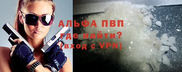 молекула духа Бородино