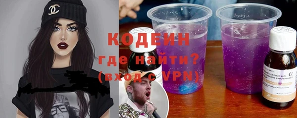 молекула духа Бородино