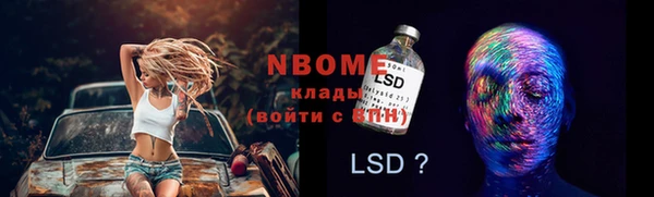 молекула духа Бородино