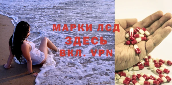 крисы Бронницы