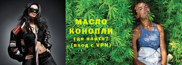 молекула духа Бородино