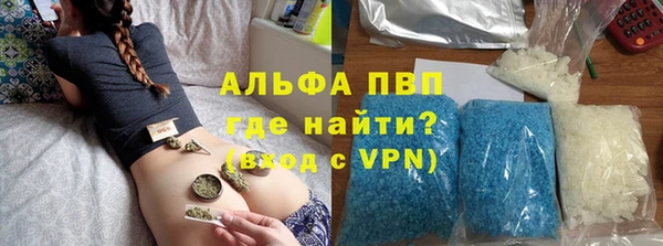 молекула духа Бородино