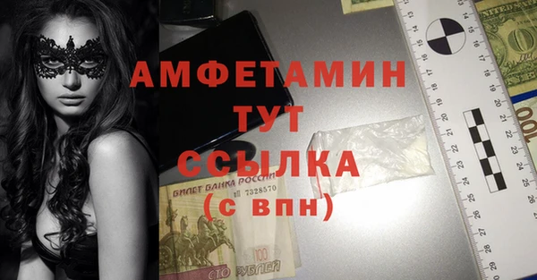 крисы Бронницы