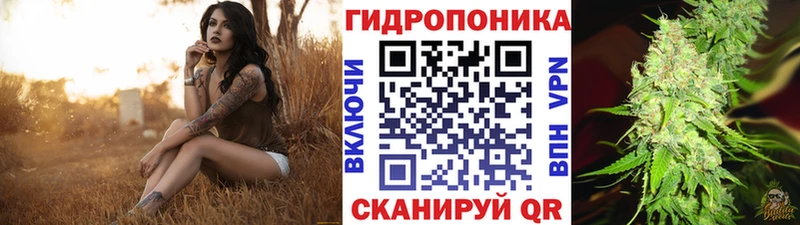 Каннабис MAZAR  Купить закладки  Стародуб 